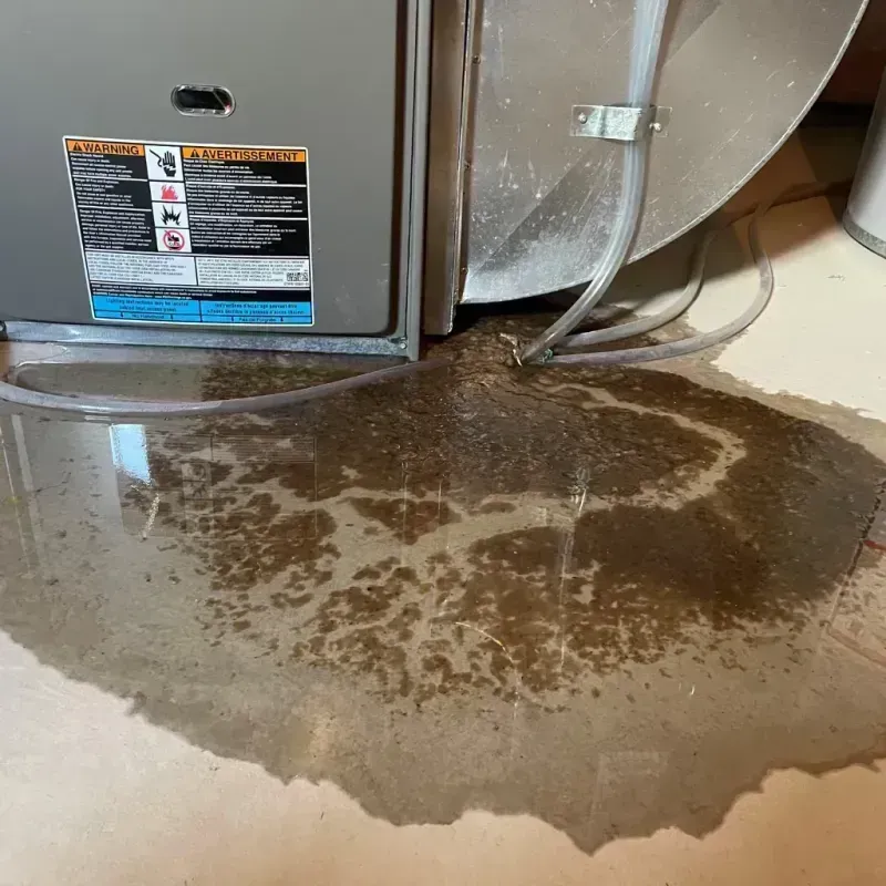 Appliance Leak Cleanup in Ferron, UT